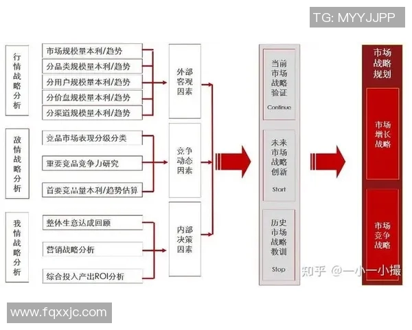 北京足球队在冠军赛中的战术分析与表现评估全景解读
