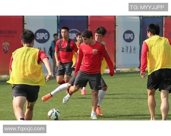 南京乒乓球队实力全解析：从训练到比赛的全面探讨与展望