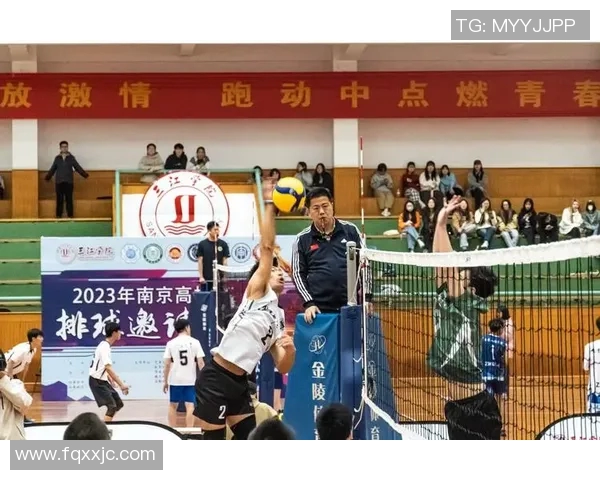 南京排球队战术解析与实战应用探讨提升竞技水平的关键因素